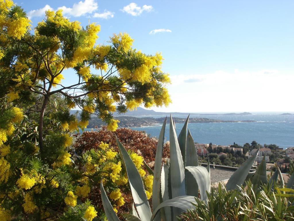 T2 Bandol Ideal Vacances 2 Etoiles 외부 사진