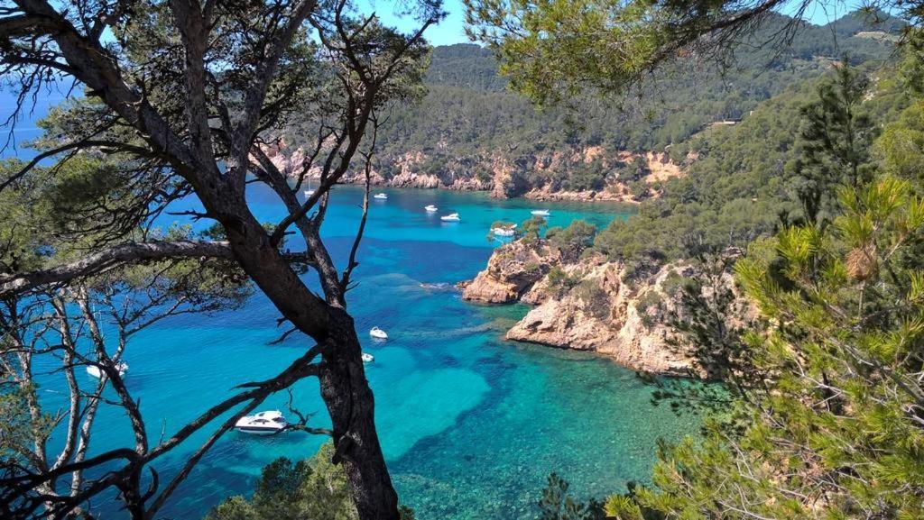 T2 Bandol Ideal Vacances 2 Etoiles 외부 사진